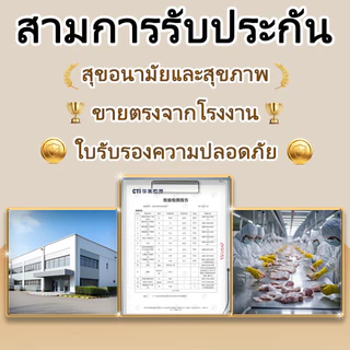 【Ketzuzu】[12/24 ซอง] อาหารเปียกแมว บำรุงขน โอเมก้า 3 สูง บำรุงขน เหมาะกับแมวทุกสายพันธุ์ โปรตีนสูง มูส อาหารแมวเปียก