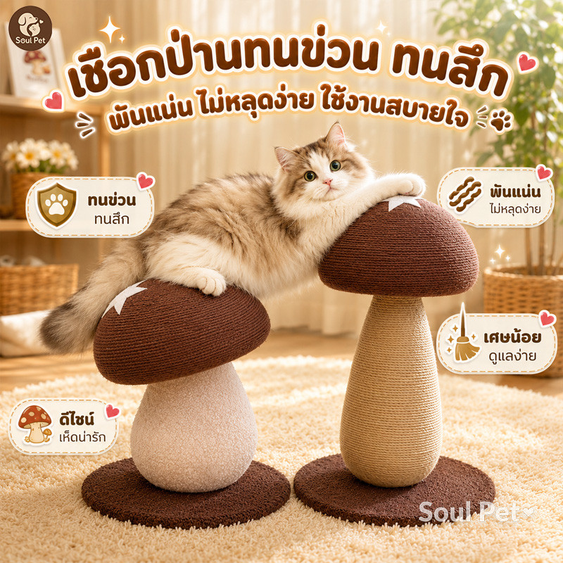 ที่ลับเล็บแมว สไตล์ใหม่ 4in1 ที่ฝนเล็บแมว รูปร่างเห็ด ของเล่นแมว ทนต่อการขีดข่วน ไม่ครอบครองพื้นที่