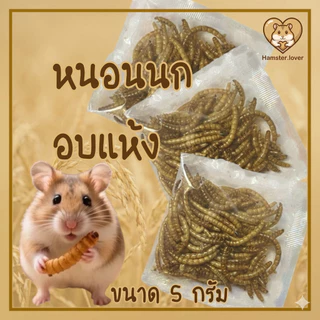 Hamster.lover หนอนนกอบแห้ง 5g โปรตีนสูง เสริมกล้ามเนื้อ บำรุงขน สำหรับแฮมสเตอร์ ชูการ์กลายเดอร์ เม่นแคระ นก