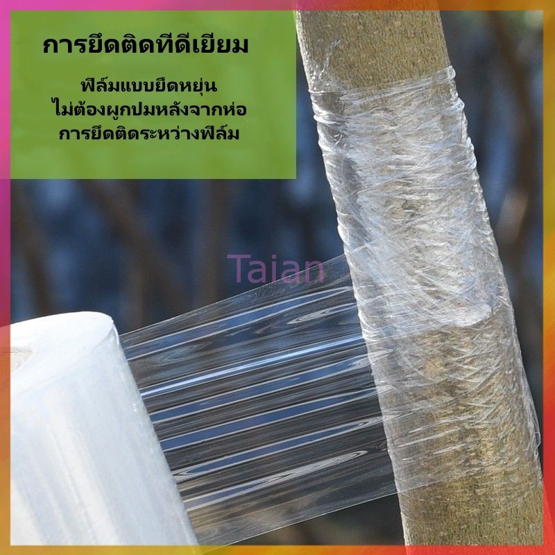 Taian เทปพันกิ่งไม้ เทปพันกิ่งทาบ แลปพลาสติก พลาสติกยืด เทปพันกิ่งเสียบยอด  200เมตร หน้ากว้าง 3,4 ซม