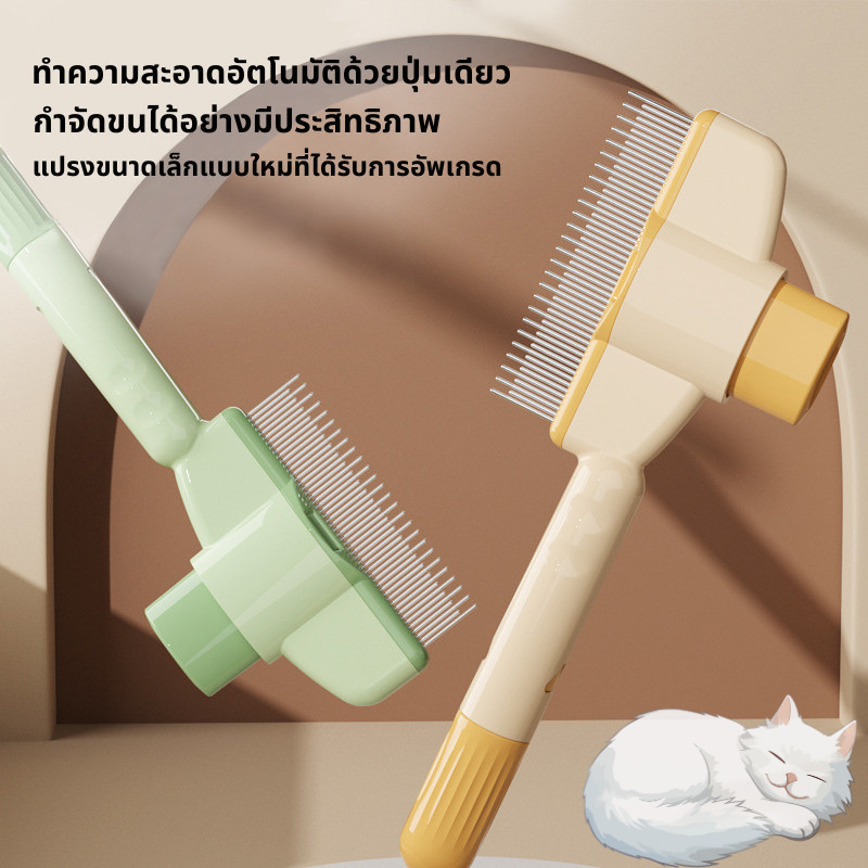 รูปภาพ 5