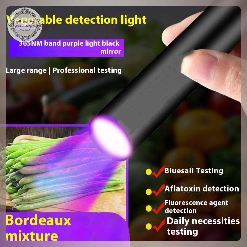 GG ไฟฉาย UV แบบพกพา 365nm แสงสีม่วงชาร์จไฟ LED สัตว์เลี้ยงปัสสาวะแมงป่องสุขอนามัยเครื่องตรวจจับไฟฉาย