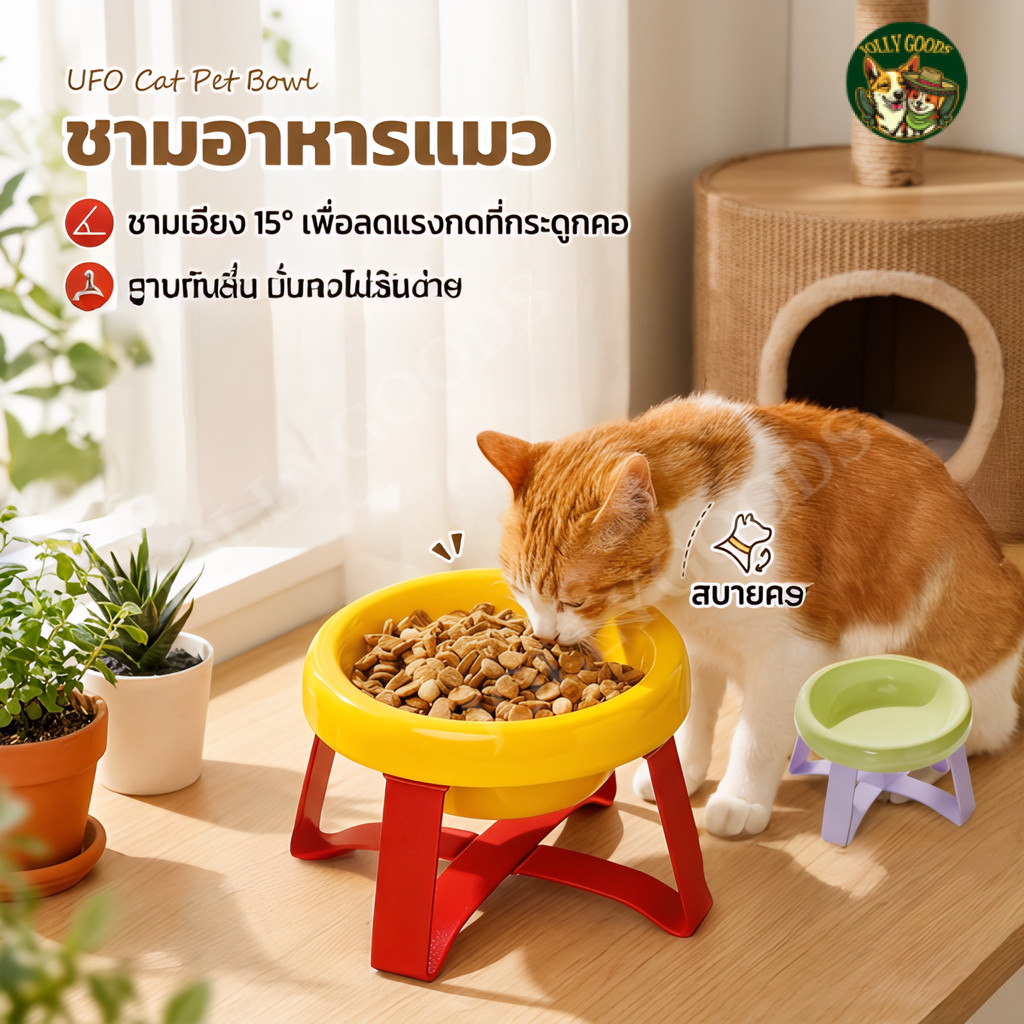 ชามอาหารแมวยกสูง ชามอาหารสัตว์พร้อมขาตั้ง ลดการก้มคอ ล้างง่าย