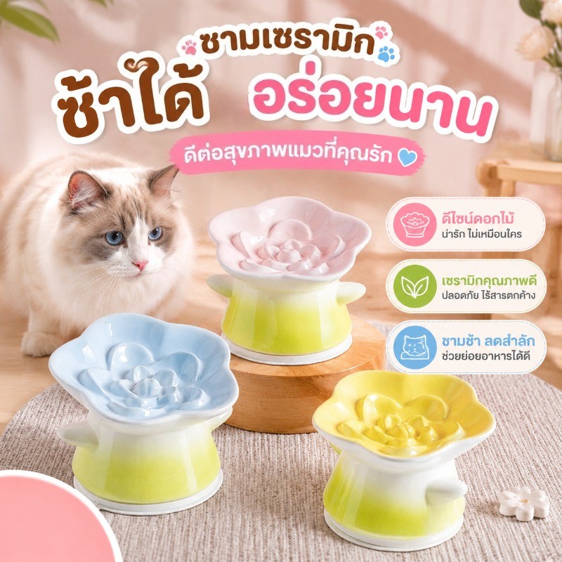 ชามอาหารแมวเซรามิค ดีไซน์กินช้า ป้องกันการสำลัก ลดการอาเจียน ฐานกันลื่น ไม่เลื่อน เหมาะกับแมวกินเร็ว