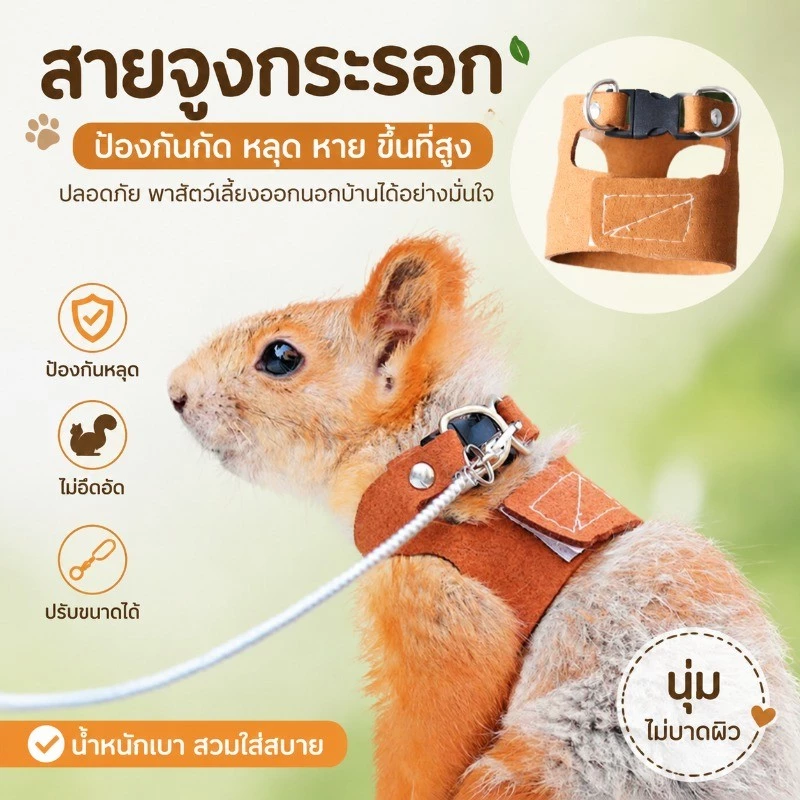 สายจูงกระรอก เชือกจูงสัตว์เลี้ยง สายจูงสัตว์เล็ก หนูแฮมสเตอร์ กระรอก กันลม กันหาย โซ่