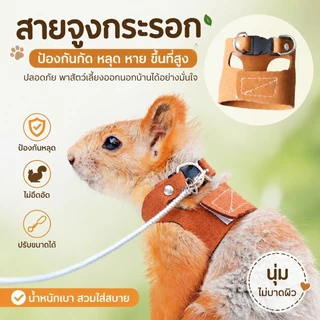 สายจูงกระรอก เชือกจูงสัตว์เลี้ยง สายจูงสัตว์เล็ก หนูแฮมสเตอร์ กระรอก กันลม กันหาย โซ่