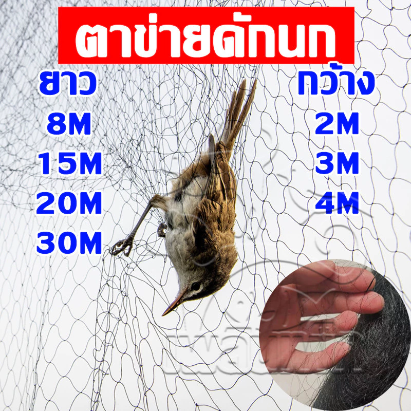 ตาข่ายดักนก ตาข่ายดักนกไนลอน อวน ดาง ดักนก ผืนใหญ่-ยาว ข่าย ตาข่าย ที่ดักนก จับนก พิราบ ดักค้างคาว กับดัก ไม่ขาดง่าย