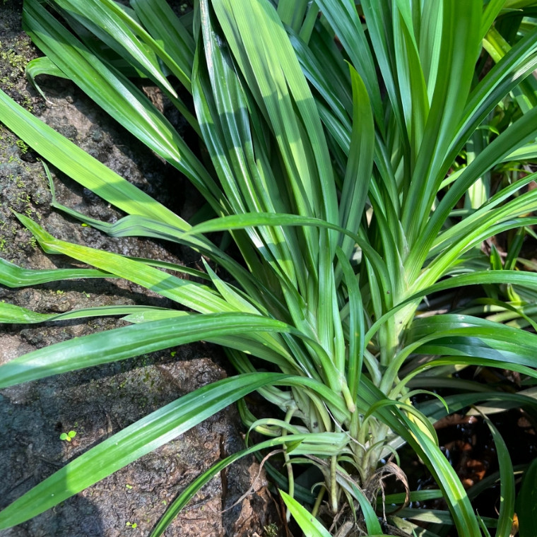 มุมมอง 3