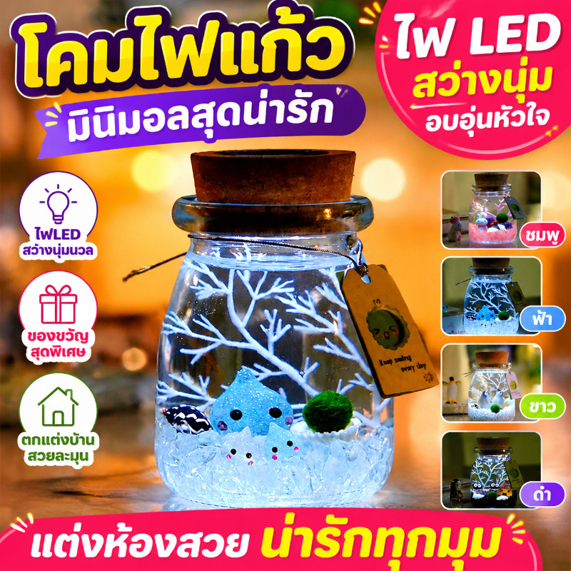 พร้อมส่ง✅เซ็ตมาริโมะโหลกลม มาริโมะ ของขวัญ มอสบอล เหมาะสำหรับให้เป็นของขวัญสำหรับคนที่รัก Marimo