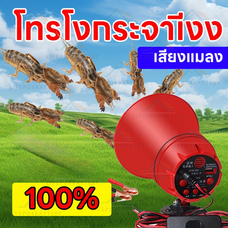 ชุดเสียงล่อแมงจีซอน กระชอน ลำโพงฮอร์น แฟลชไดร์ฟเสียงจีซอน ลำโพงฮอร์น MP3 35 วัตต์ DC 12v TF card USB