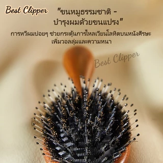 แปรงหวีผมขนหมูป่าธรรมชาติ ด้ามจับไม้จันทน์ทอง ช่วยปกป้องเส้นผมและลดไฟฟ้าสถิต