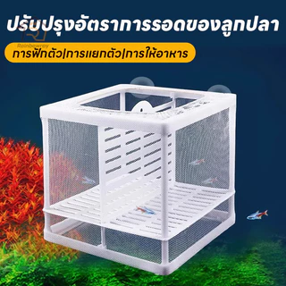 🐠ตาข่ายเเยกปลา กล่องแยกเลี้ยงปลา ฟักไข่ปลา สำหรับพันธุ์ปลาต่อสู้ แยกลูกกุ้ง และแยกปลาที่กำลังป่วย