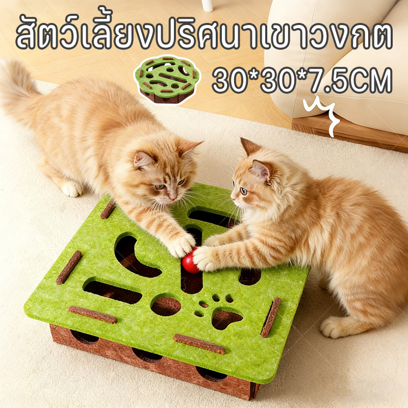 ของเล่นแมว แมวปริศนาของเล่นรู้สึกกล่องปริศนา มบันเทิงกีฬาล่าสัตว์ของเล่นแมวสําหรับแมวในร่ม ลูกบอลแคทนิป