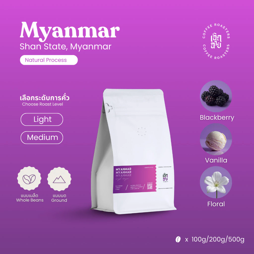 เมล็ดกาแฟ Myanmar Natural process เมล็ดกาแฟคั่วอาราบิก้า Cherdchai Coffee Roasters