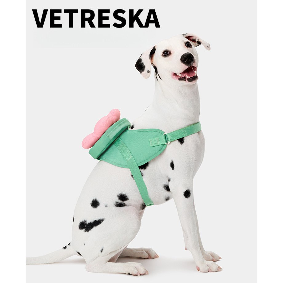 VETRESKA ดอกไม้,กระเป๋าเป้สะพายหลัง,สายลากสามในหนึ่ง,ขนาดใหญ่,ขนาดกลาง,สุนัขขนาดเล็กชุดเชือกลาก [QINGXI-PET]