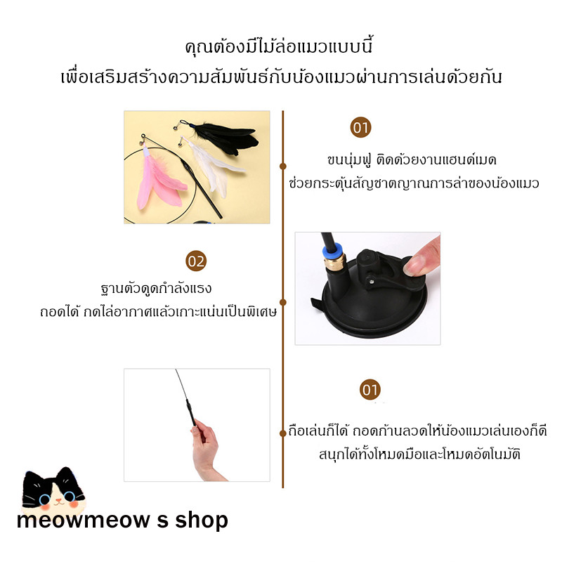 รูปภาพ 3