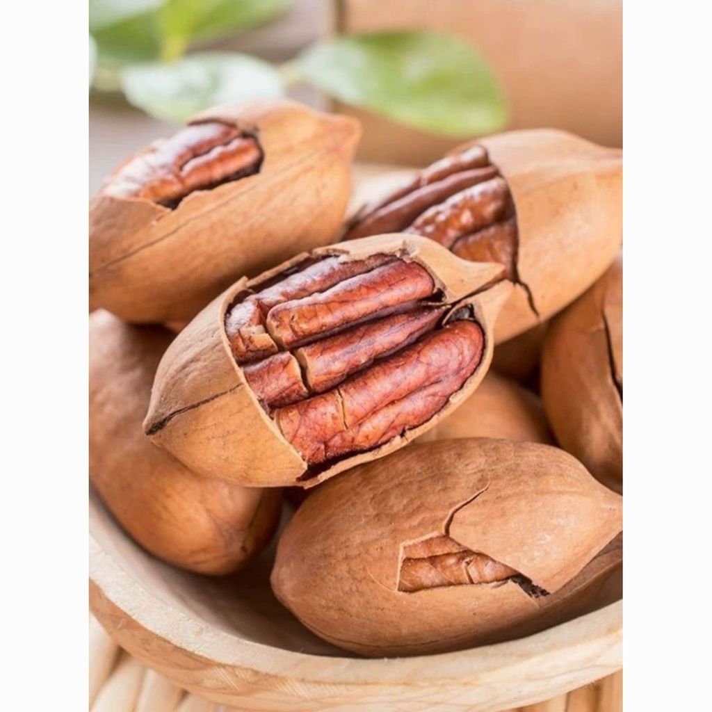 2025 สินค้าใหม่ Bergen Fruit Thin Skin Large Fruit Paper Skin Bergen Fruit Large Grain Nut Fresh Ori