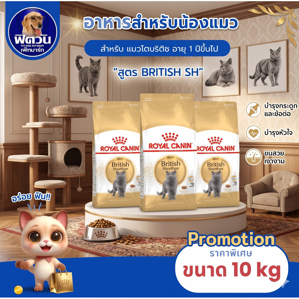ROYAL CANIN-British Short Hair แมว1-10ปี ขนาด 10.0 กก.{อาหารแมวเม็ด}