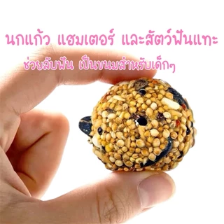 Hambit. ลูกบอลธัญพืชรวม ขนมแฮมสเตอร์ นกแก้ว สัตว์ฟันแทะ ช่วยลับฟัน ธรรมชาติ 100% (ขนาด 4x4 ซม.)