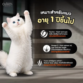 {จำนวน 1 ถุง } Ostech ออสเทค ออริจินัล อาหารเม็ดแมว สำหรับแมวโต โปรตีน 30% *ถุง1กิโล แพ็คเกจากโรงงาน
