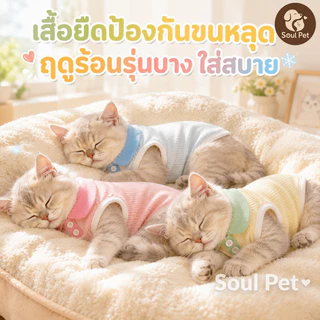 ชุดแมวแฟชั่น เสื้อหมา ชุดหมาสดชื่น เสื้อคอปก เสื้อยืดลายสัตว์เลี้ยง สวมใส่และถอดออกได้ง่าย