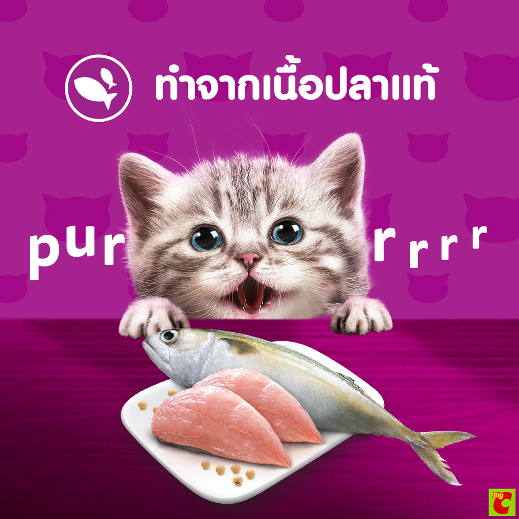 Whiskas Junior طعام قطط صغيرة رطب بالماكريل 80 غ — صورة 6