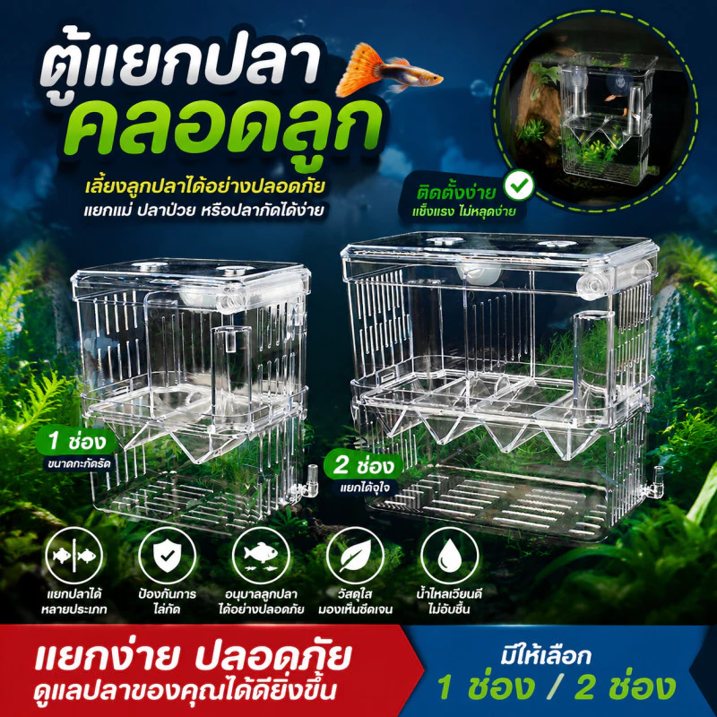 ตู้แยกปลาคลอดลูก กล่องแยกปลาป่วย 2 ช่อง 2 ขนาด สีใส thumbnail 3