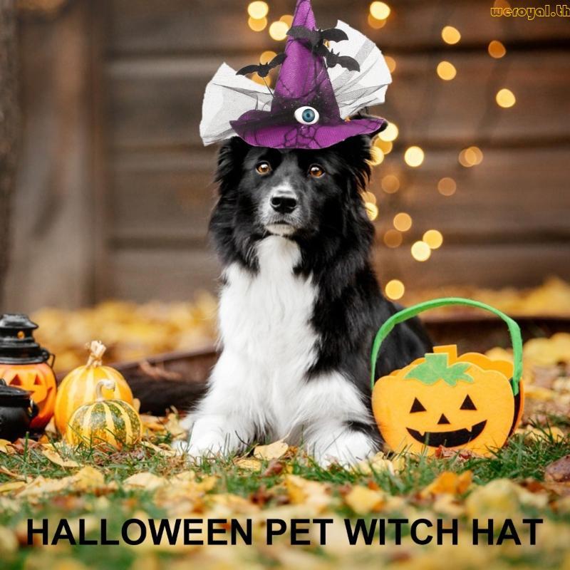 Weroyal Trend Cats Dogs Witch Hat with Stretch Chin Rope Halloween Partys Pet Witch Hat
