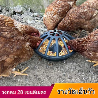 รางอาหารไก่ รางอาหารพิเศษสำหรับให้อาหารไก่ การเลี้ยงไก่แบบปล่อย ตีไม่พลิก กรวยหนาแรงเลียนแบบเอ็นวัว