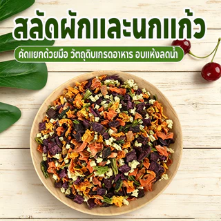 อาหารนกแก้ว ผัก ผลไม้ Freeze dried Nutrition blend อาหารนก อาหารนกแก้วซันคอนัวร์ เหมาะสำหรับนกแก้วทุกชนิด