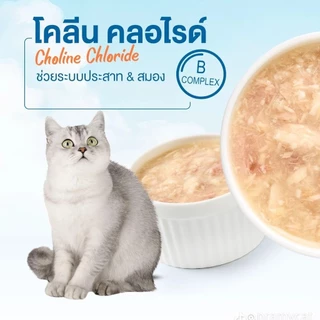 (ปรับขนาดใหม่) Pramy Complete อาหารเปียกแมวพรามี่ [6-12 ซอง] ขนาด 60g