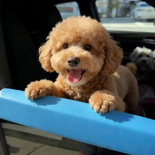 ชู สุนัขเดินทางหน้าต่างอุปกรณ์เสริมสัตว์เลี้ยงรถหน้าต่างพนัก…