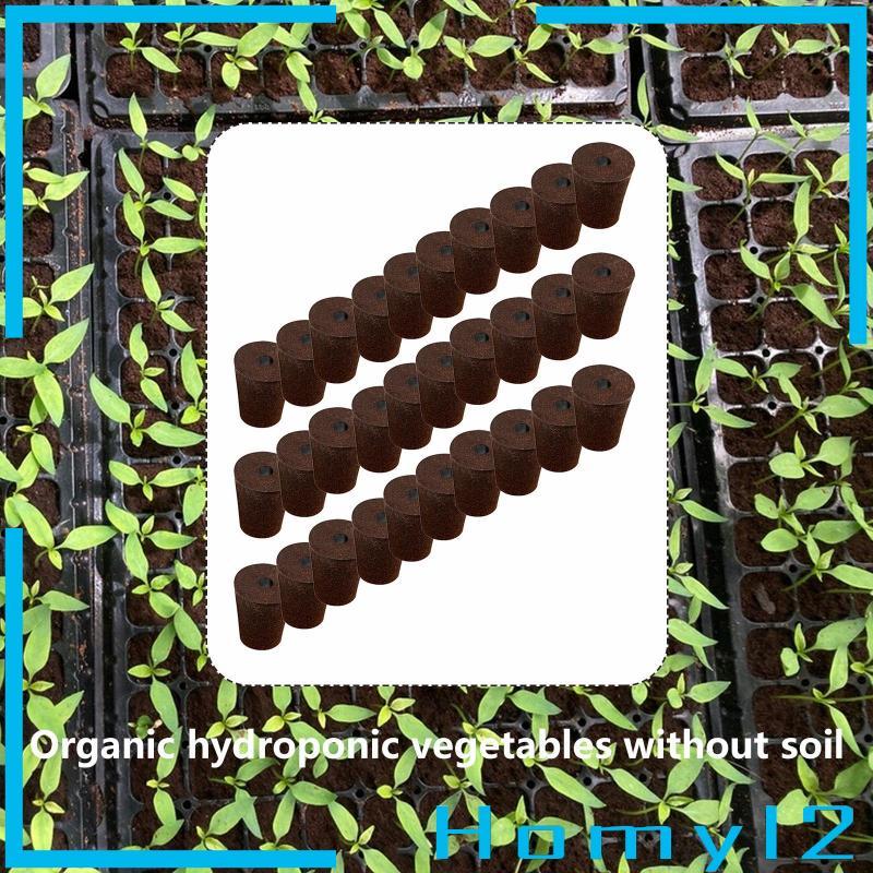 [HOMYL2] 30 ชิ้นเติบโตฟองน้ําอุปกรณ์ใช้งานง่ายปลั๊ก Rooter Growth ฟองน้ําสําหรับตัดผักผักกาดหอมดอกไม