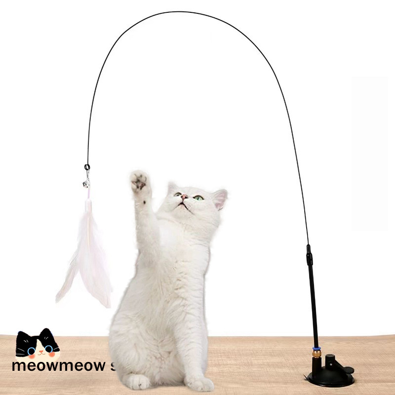 รูปภาพ 9