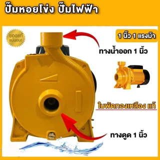 SC ปั๊มน้ำไฟฟ้า ปั๊มหอยโข่ง 3 นิ้ว 3 แรงม้า(220V) ขดลวดทองแดงแท้ ใบพัดทองเหลือง เน้นปริมาณน้ำเยอะ