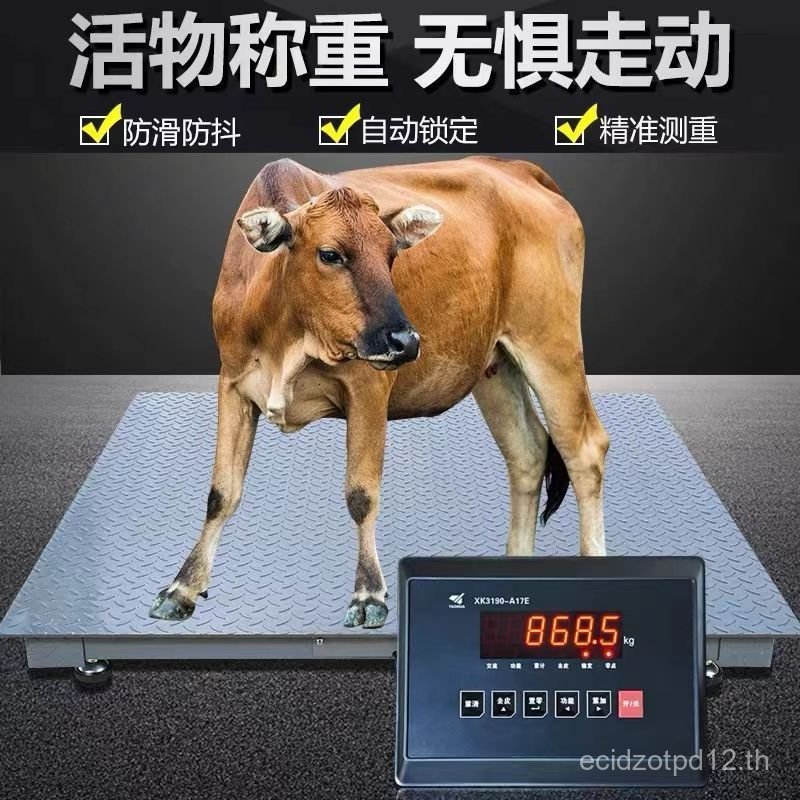 Shanghai Yaohua Electronic Place Scale 0-3 ตัน Scale สัตว์ Shepherd Scale เนื้อหมูแกะ Place Scale หน
