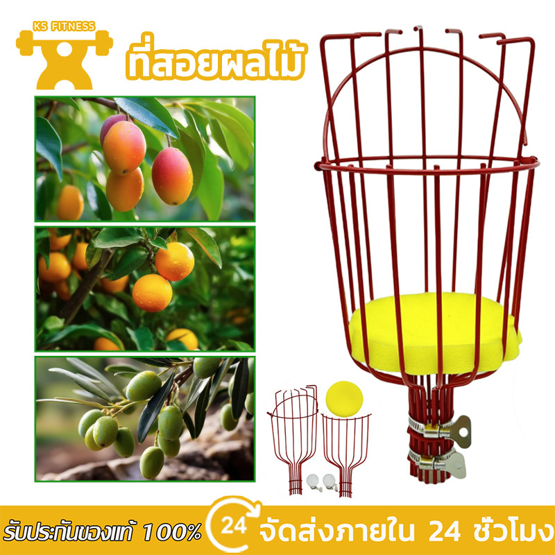 อุปกรณ์เก็บผลไม้ ยืดหดได้ ใช้งานง่าย