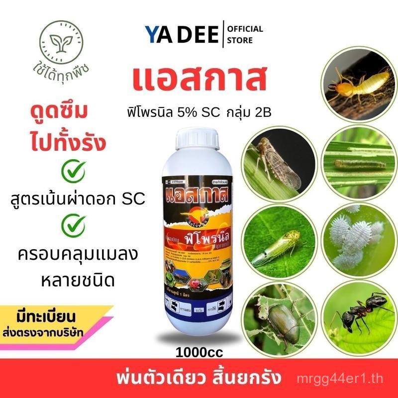 Ascaris Fipronil 5%SC 1 ลิตร หนอนเพลี้ยแมลงบิน ปลวก มด เครื่องกําจัดรัง