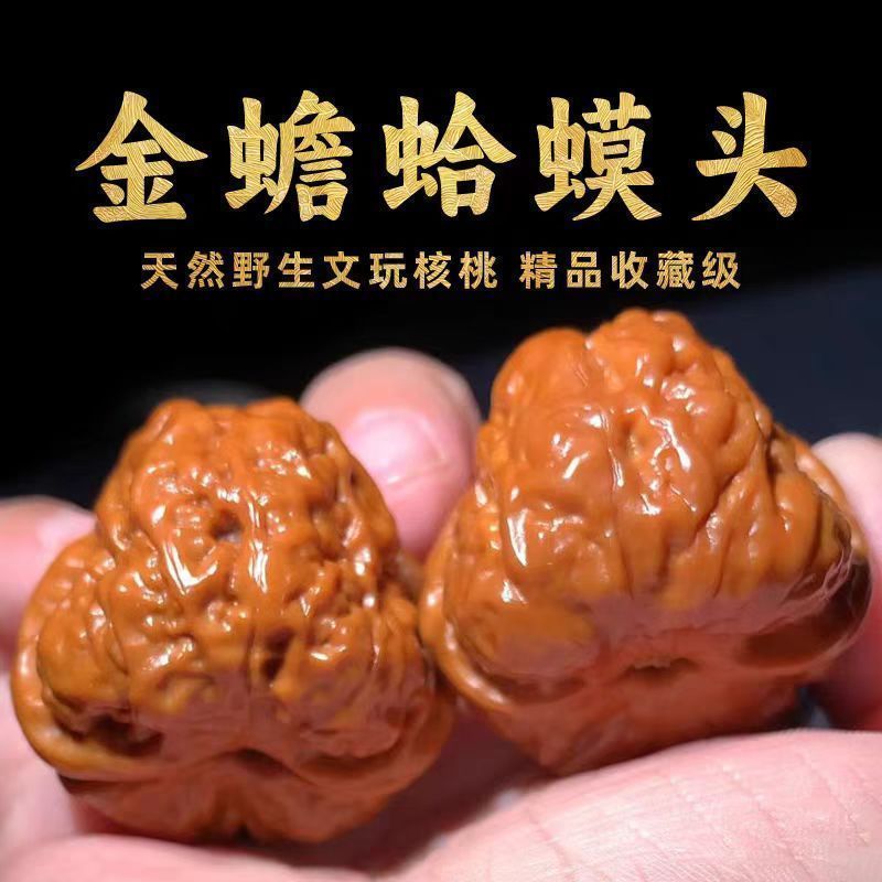 文玩核桃老树延庆开背金蟾蛤蟆头怀柔呱呱青蛙狮子头盘玩手把件h514 วอลนัทสะสมจากต้นไม้เก่าในยานชิง มีลักษณะเป็นคางคกสีทองที่มีหลังเปิด กบที่ส่งเสียงกบกรุ๊งเบา ๆ และหัวสิงโตสำหรับเล่นในมือ รุ่น h514