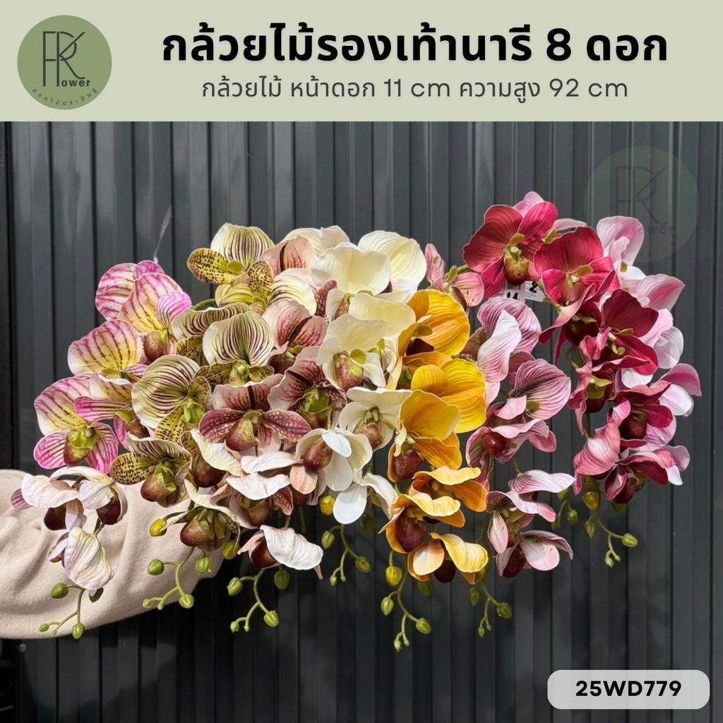 กล้วยไม้รองเท้านารี 8 ดอก หน้าดอก 11 cm. ความสูง 92 cm.