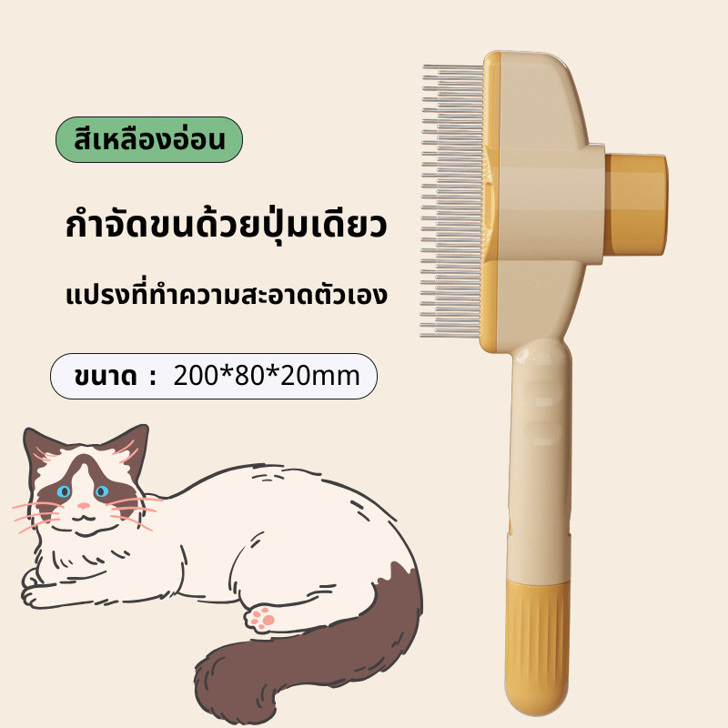 รูปภาพ 8