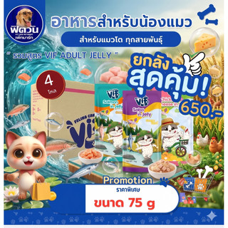 Felina Canino VIF In Jelly อาหารเปียกแมวในเจลลี่ ขนาด 75 g.(ขายยกลัง 4 โหล)