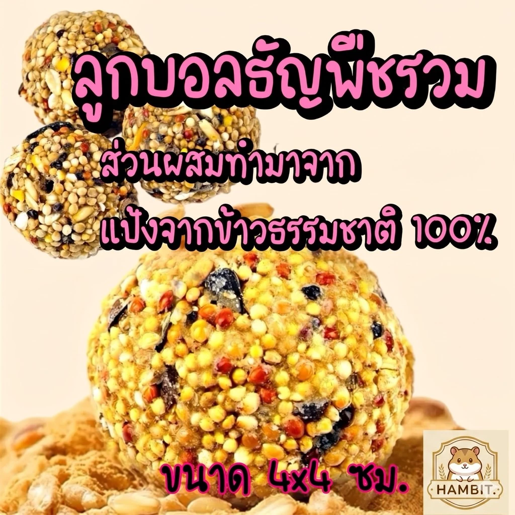 Hambit. ลูกบอลธัญพืชรวม ขนมแฮมสเตอร์ นกแก้ว สัตว์ฟันแทะ ช่วยลับฟัน ธรรมชาติ 100% (ขนาด 4x4 ซม.)