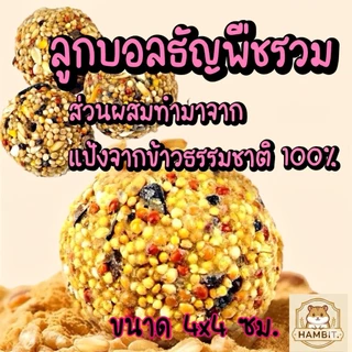 Hambit. ลูกบอลธัญพืชรวม ขนมแฮมสเตอร์ นกแก้ว สัตว์ฟันแทะ ช่วยลับฟัน ธรรมชาติ 100% (ขนาด 4x4 ซม.)
