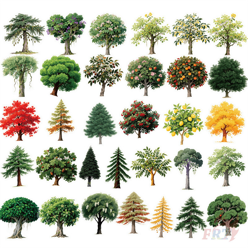 ❉ Forest-Tree Series 02 PET สติ๊กเกอร์ใส ❉ 54 ชิ้น/เซ็ตกันน้ําแฟชั่น DIY Doodle Decals สติ๊กเกอร์