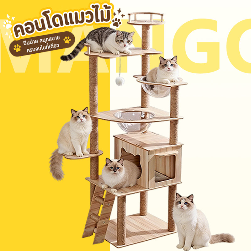 Mango คอนโดแมวไม้ ไม้แมวคอนโดแมว ที่ปีนแมว เหมาะสำหรับเลี้ยงน้องแมว3-5ตัว พร้อมโดมนอนแบบใส คอนโดแมวราคาถูก  สูง170CM
