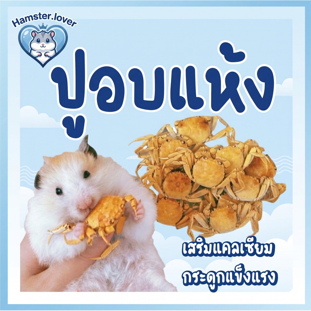 Hamster.lover ปูอบแห้ง (5ตัว) ขนมสัตว์เลี้ยง เสริมแคลเซียม สำหรับแฮมสเตอร์ ชินชิล่า กระต่าย แกสบี้ สัตว์ฟันแทะ