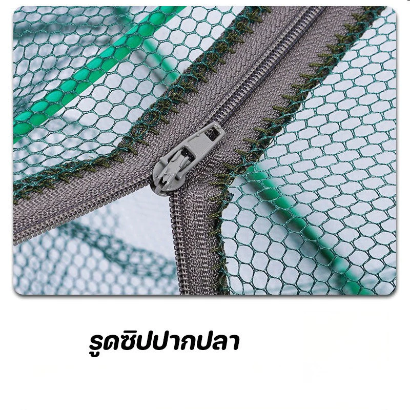 ตาข่ายดักปลา พับได้ thumbnail 5