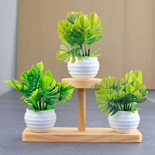 กระถางต้นไม้ปลอม เล็กน่ารัก มอนสเตอร่า สีเขียว สบายตา ราคาถู…