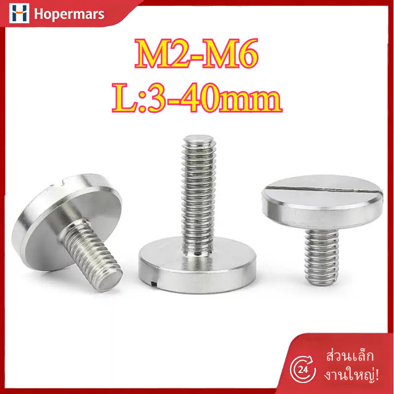 304 สแตนเลสสตีลหัวแบนสกรูหัวกลมขนาดใหญ่แบน Slotted มือสกรูสกรูทรงกระบอก Bolt M2/M2.5/M3/M4/M5/M6 (HA-LR-TH)